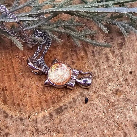 Genuine Nature Meteorite Cat 925 Stamped Pendant Necklace - Picture 9 of 10